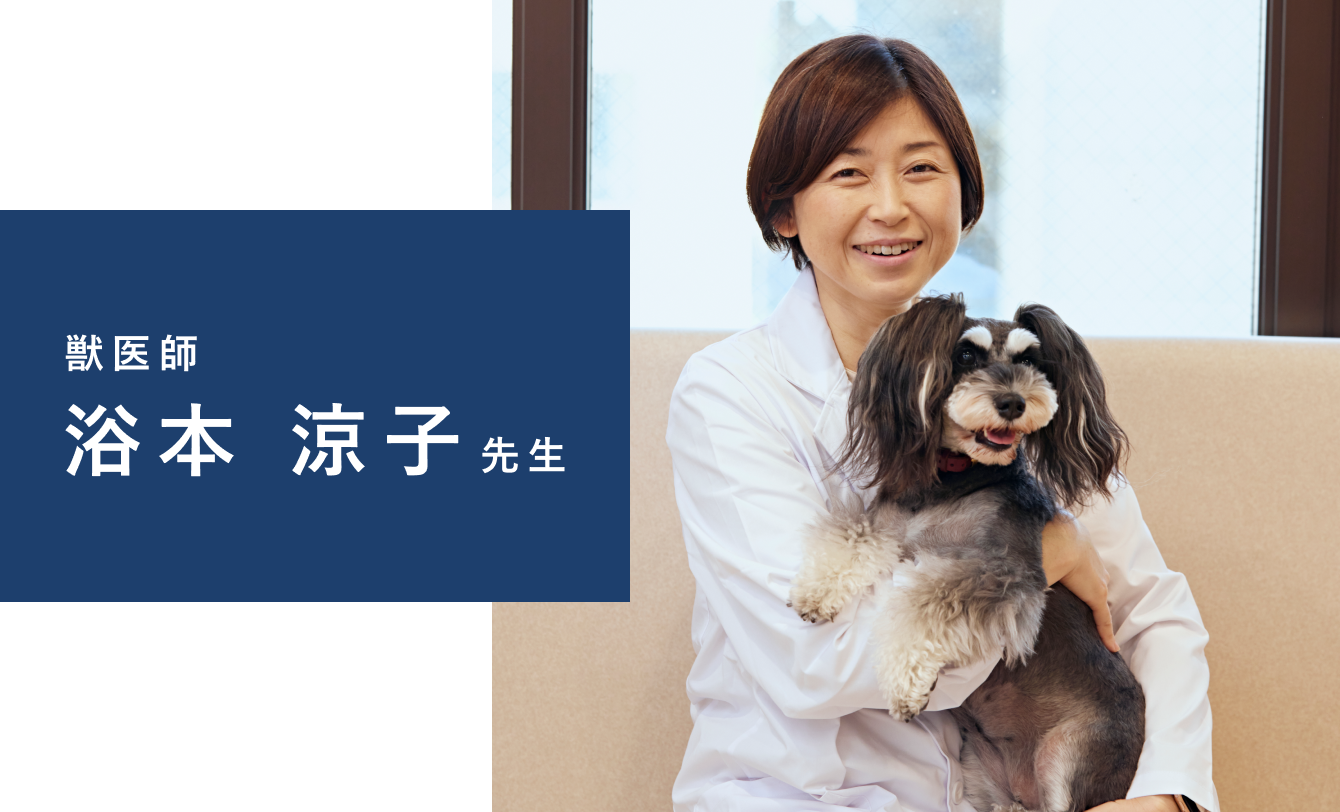 眠る愛犬の写真