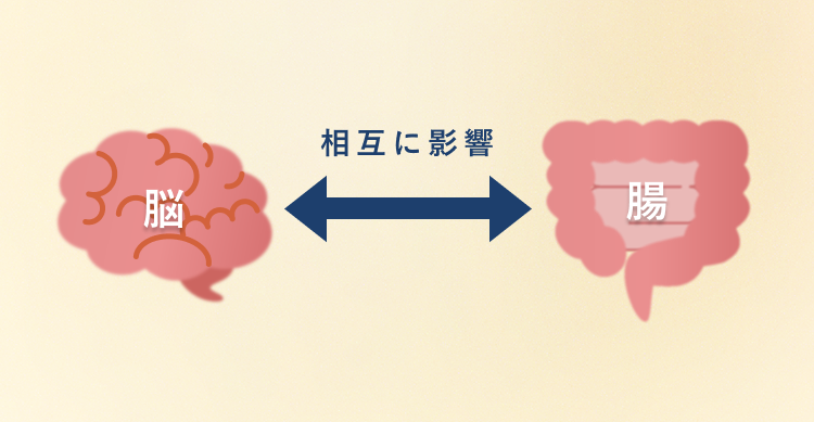 眠る愛犬の写真